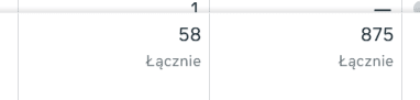 Meta Ads Manager - 875 leadów z kampanii i 58 z formularza na stronie Aldom